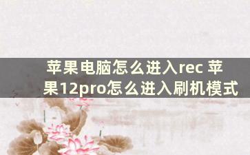 苹果电脑怎么进入rec 苹果12pro怎么进入刷机模式